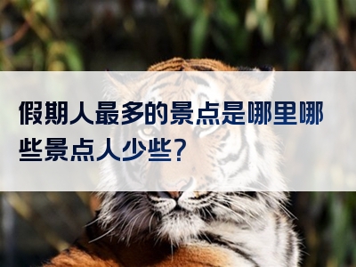 假期人最多的景点是哪里哪些景点人少些？