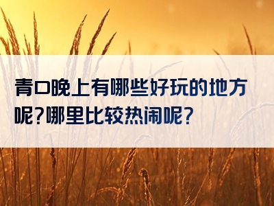 青口晚上有哪些好玩的地方呢？哪里比较热闹呢？