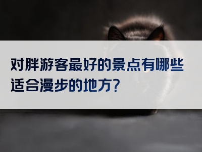 对胖游客最好的景点有哪些适合漫步的地方？