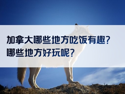 加拿大哪些地方吃饭有趣？哪些地方好玩呢？