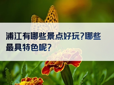 浦江有哪些景点好玩？哪些最具特色呢？