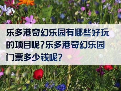 乐多港奇幻乐园有哪些好玩的项目呢？乐多港奇幻乐园门票多少钱呢？