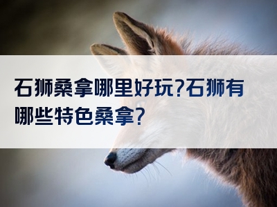 石狮桑拿哪里好玩？石狮有哪些特色桑拿？