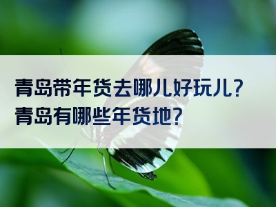 青岛带年货去哪儿好玩儿？青岛有哪些年货地？