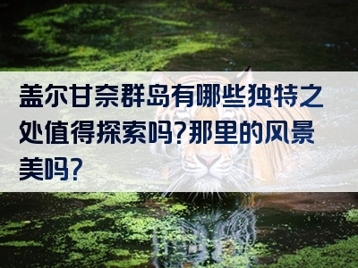 盖尔甘奈群岛有哪些独特之处值得探索吗？那里的风景美吗？