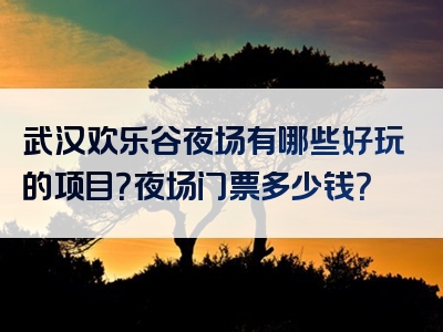 武汉欢乐谷夜场有哪些好玩的项目？夜场门票多少钱？