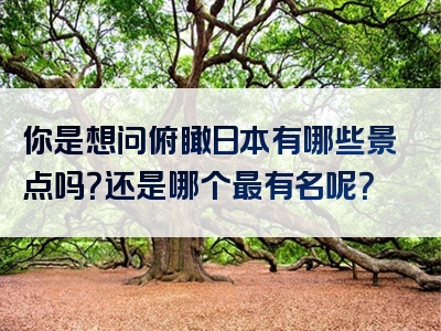 你是想问俯瞰日本有哪些景点吗？还是哪个最有名呢？