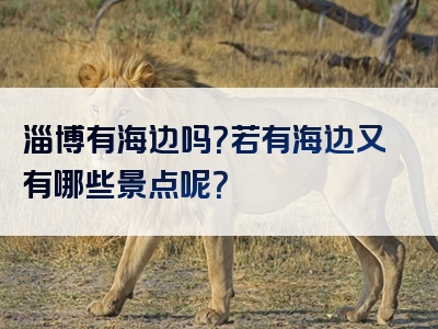 淄博有海边吗？若有海边又有哪些景点呢？
