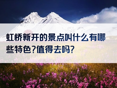虹桥新开的景点叫什么有哪些特色？值得去吗？