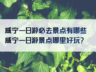 咸宁一日游必去景点有哪些咸宁一日游景点哪里好玩？