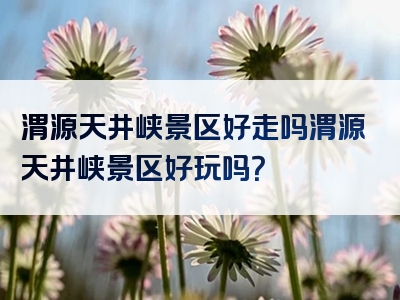 渭源天井峡景区好走吗渭源天井峡景区好玩吗？