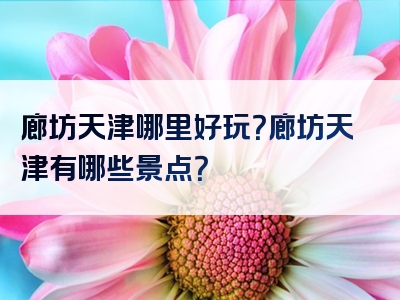 廊坊天津哪里好玩？廊坊天津有哪些景点？