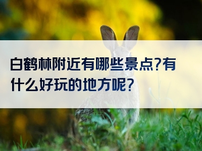 白鹤林附近有哪些景点？有什么好玩的地方呢？