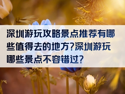 深圳游玩攻略景点推荐有哪些值得去的地方？深圳游玩哪些景点不容错过？