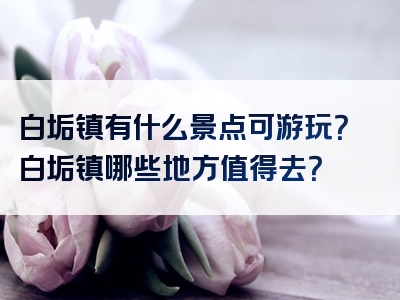 白垢镇有什么景点可游玩？白垢镇哪些地方值得去？