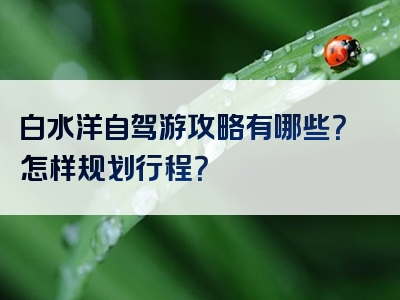白水洋自驾游攻略有哪些？怎样规划行程？
