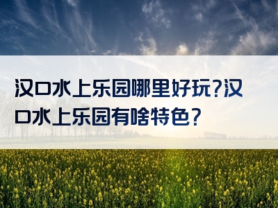 汉口水上乐园哪里好玩？汉口水上乐园有啥特色？