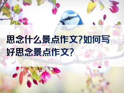思念什么景点作文？如何写好思念景点作文？