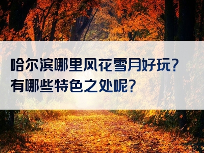 哈尔滨哪里风花雪月好玩？有哪些特色之处呢？
