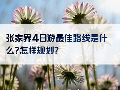 张家界4日游最佳路线是什么？怎样规划？