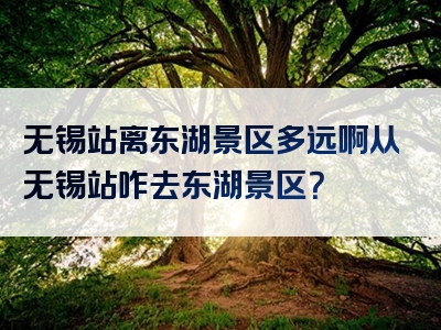 无锡站离东湖景区多远啊从无锡站咋去东湖景区？
