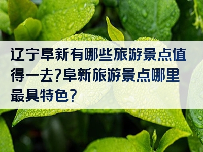 辽宁阜新有哪些旅游景点值得一去？阜新旅游景点哪里最具特色？