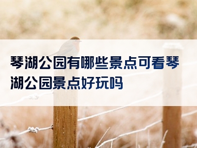 琴湖公园有哪些景点可看琴湖公园景点好玩吗