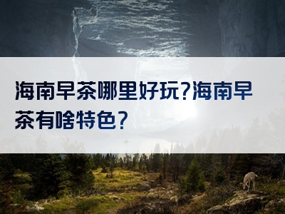 海南早茶哪里好玩？海南早茶有啥特色？