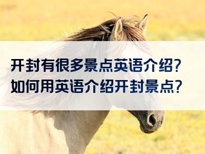 开封有很多景点英语介绍？如何用英语介绍开封景点？