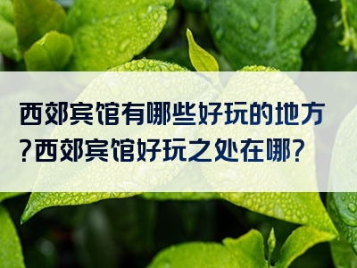 西郊宾馆有哪些好玩的地方？西郊宾馆好玩之处在哪？