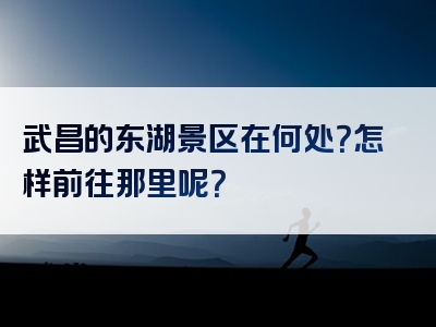 武昌的东湖景区在何处？怎样前往那里呢？