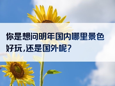 你是想问明年国内哪里景色好玩，还是国外呢？