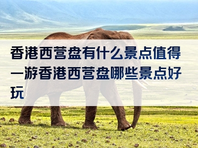 香港西营盘有什么景点值得一游香港西营盘哪些景点好玩