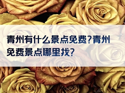 青州有什么景点免费？青州免费景点哪里找？