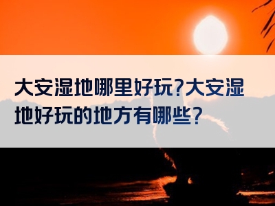 大安湿地哪里好玩？大安湿地好玩的地方有哪些？