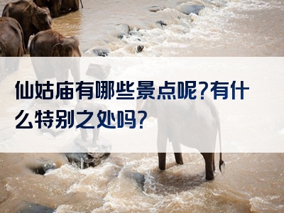 仙姑庙有哪些景点呢？有什么特别之处吗？