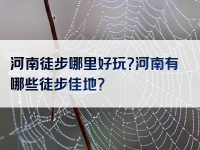 河南徒步哪里好玩？河南有哪些徒步佳地？