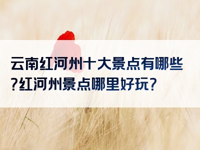 云南红河州十大景点有哪些？红河州景点哪里好玩？