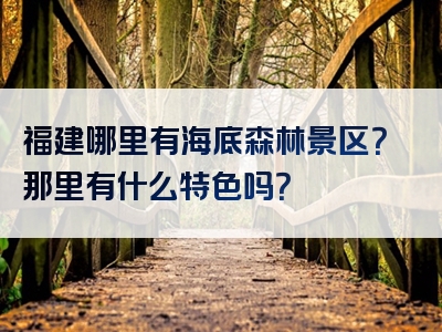 福建哪里有海底森林景区？那里有什么特色吗？