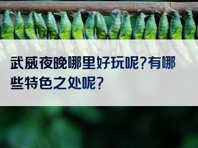武威夜晚哪里好玩呢？有哪些特色之处呢？