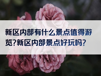 新区内部有什么景点值得游览？新区内部景点好玩吗？
