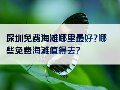深圳免费海滩哪里最好？哪些免费海滩值得去？