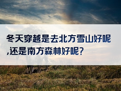 冬天穿越是去北方雪山好呢，还是南方森林好呢？