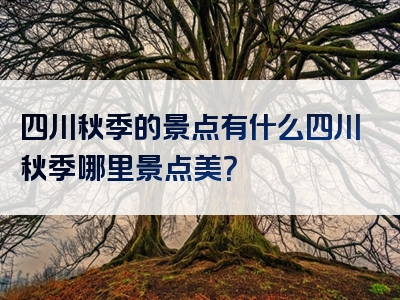 四川秋季的景点有什么四川秋季哪里景点美？