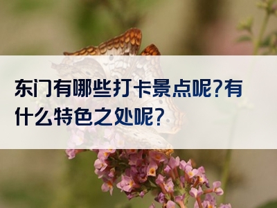 东门有哪些打卡景点呢？有什么特色之处呢？