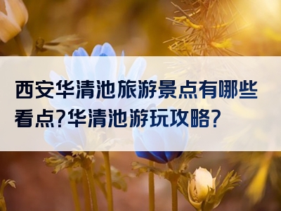 西安华清池旅游景点有哪些看点？华清池游玩攻略？