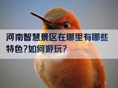 河南智慧景区在哪里有哪些特色？如何游玩？