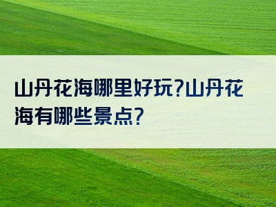 山丹花海哪里好玩？山丹花海有哪些景点？