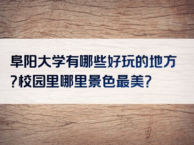 阜阳大学有哪些好玩的地方？校园里哪里景色最美？