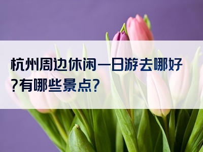 杭州周边休闲一日游去哪好？有哪些景点？